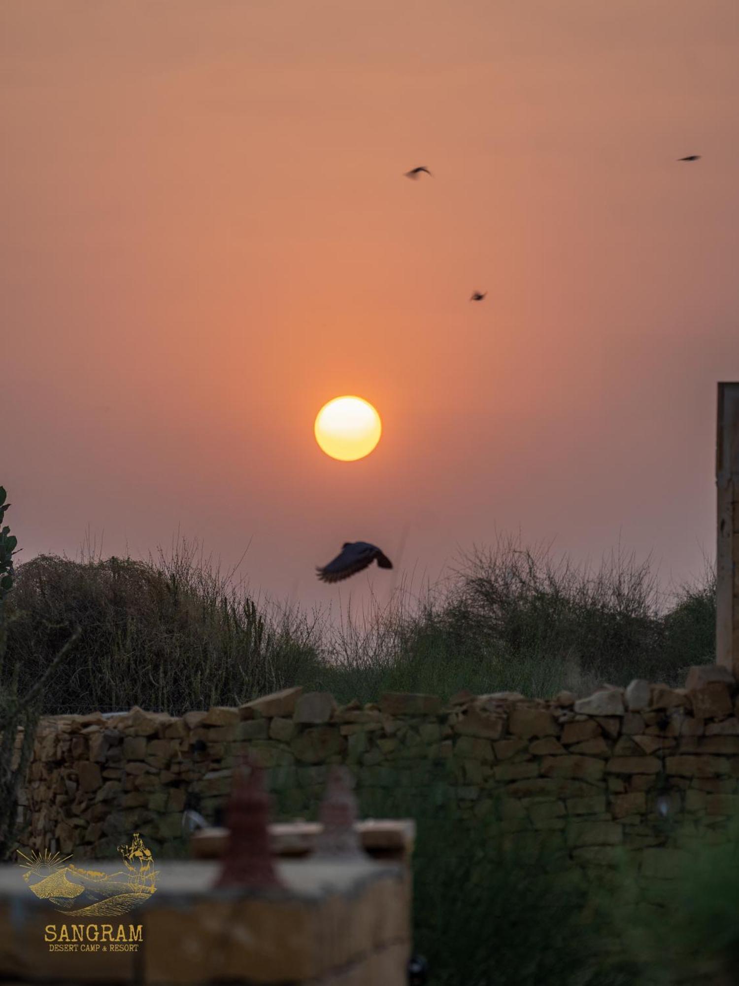 Sangram Desert Camp Jaisalmer Exterior foto